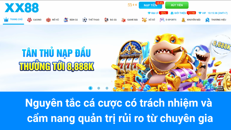 Nguyên tắc cá cược có trách nhiệm và cẩm nang quản trị rủi ro từ chuyên gia